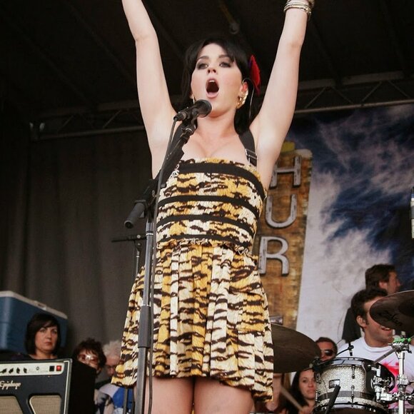 D&G Tiger Print Dress ASO Sharpay Evans & Katy Perry - Picture 5 of 11